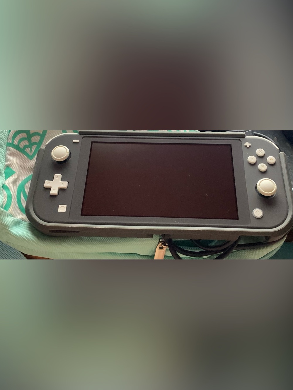 Switch Lite